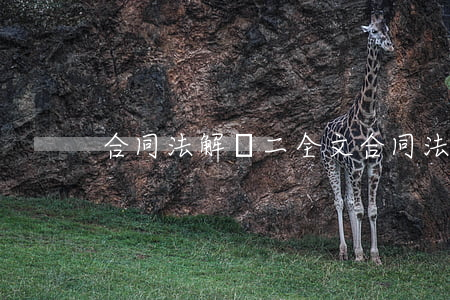 合同法解釋二全文(合同法解釋一)