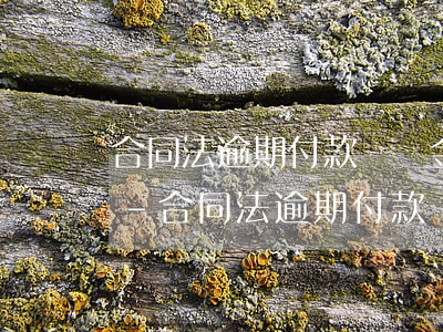 合同法逾期付款違約金法律規(guī)定-合同法逾期付款違約金法律規(guī)定多少