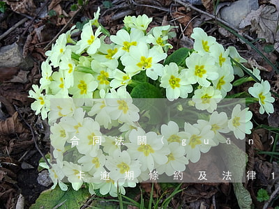 合同法關(guān)于信用卡逾期的(信用卡逾期條約及法律196條)