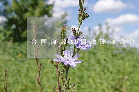 合同無效如何處理(無效合同的認定及處理)