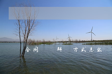 合同爭議解決方式怎么寫(如何解決合同爭議問題)