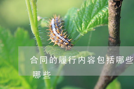 合同的履行内容包括哪些（合同履行的特征有哪些）