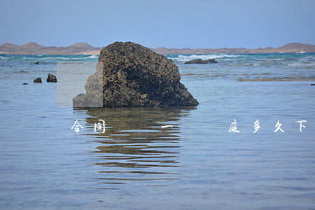 合同糾紛一審開庭多久下判決書