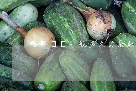 合同糾紛一般多久才能起訴
