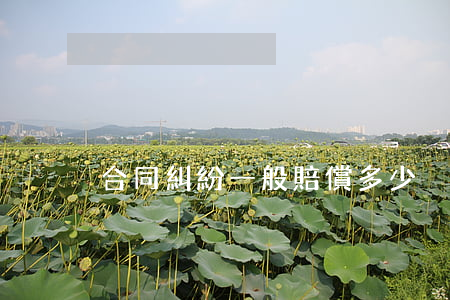 合同糾紛一般賠償多少