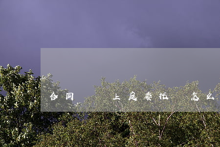 合同糾紛上庭委托書怎么寫