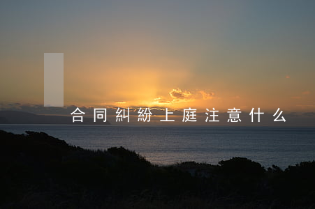 合同糾紛上庭注意什么
