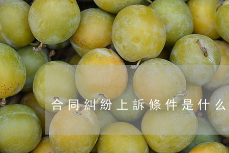 合同糾紛上訴條件是什么