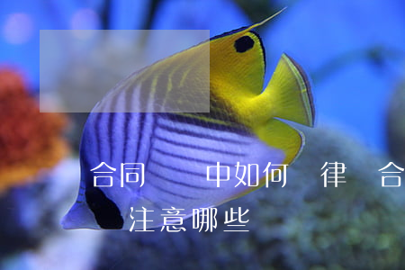 合同糾紛中如何請律師(合同糾紛咨詢中律師應注意哪些問題)