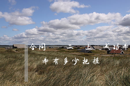 合同糾紛二審上訴成功率高嗎(請問二審的勝訴率有多少把握)