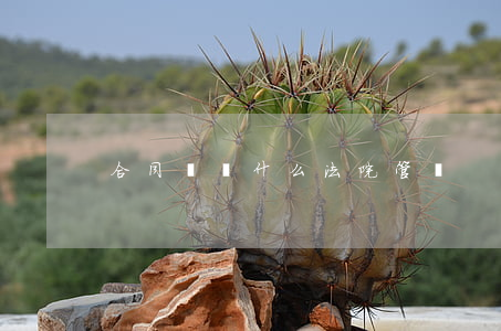 合同糾紛什么法院管轄