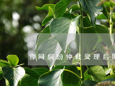 合同糾紛仲裁受理后開庭(仲裁委員會開庭)