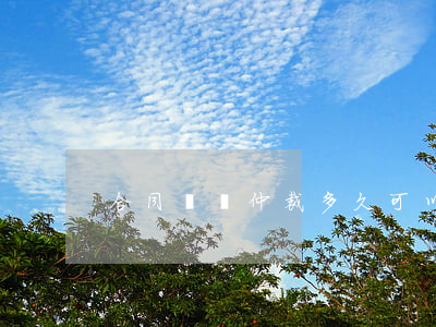 合同糾紛仲裁多久可以申請(qǐng)