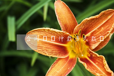 合同糾紛仲裁多久裁決