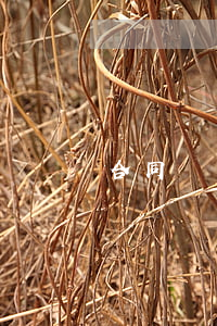 合同糾紛仲裁找哪個(gè)部門