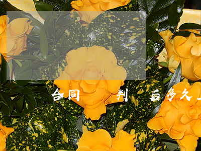 合同糾紛判決后多久上訴