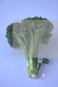 合同糾紛判決如何執(zhí)行(合同糾紛拒不執(zhí)行法院判決該怎么辦)