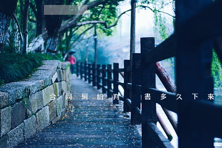 合同糾紛判決書多久下來