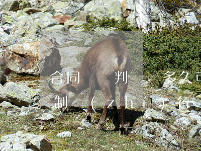 合同糾紛判決書多久可以強(qiáng)制執(zhí)行