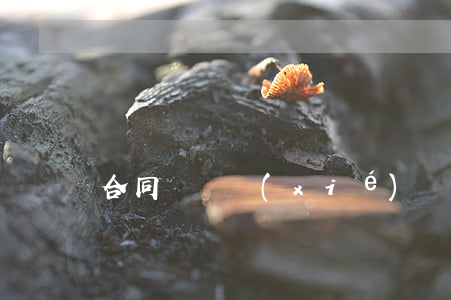 合同糾紛協(xié)議書怎么寫才有效