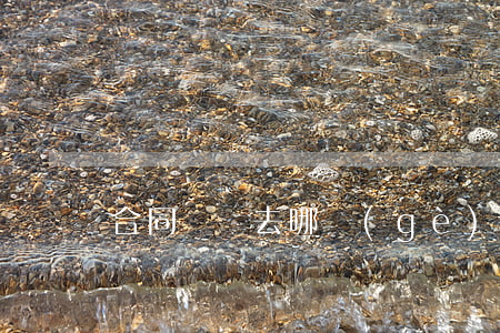合同糾紛去哪個(gè)法院