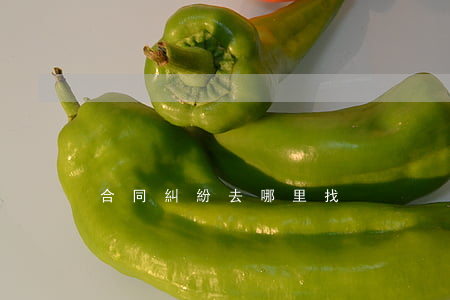 合同糾紛去哪里找