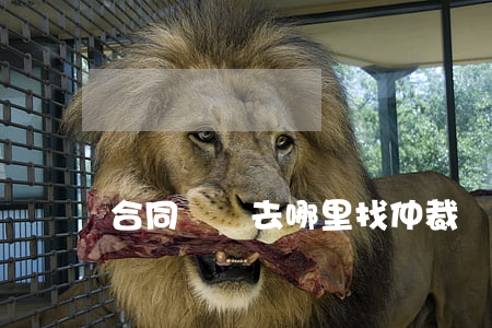 合同糾紛去哪里找仲裁
