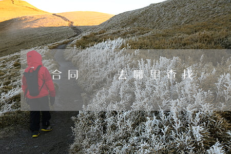 合同糾紛去哪里查找
