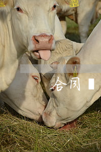 合同糾紛去哪里申請(qǐng)仲裁