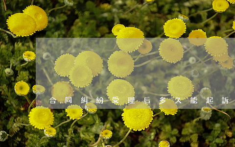 合同糾紛受理后多久能起訴