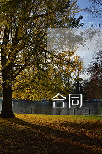 合同糾紛哪里換管