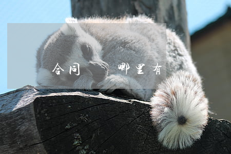 合同糾紛哪里有