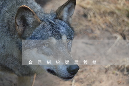 合同糾紛哪里管轄