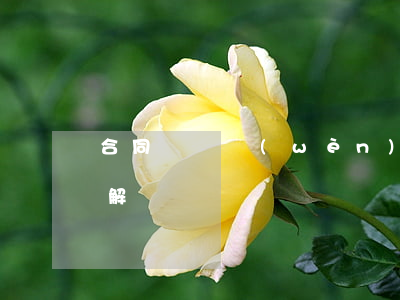 合同糾紛問(wèn)題如何處理(合同糾紛解決)