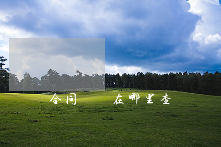 合同糾紛在哪里查
