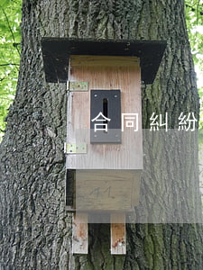 合同糾紛報警后怎么處理