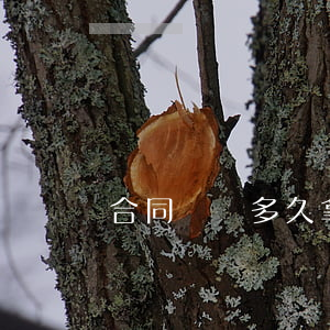 合同糾紛多久拿到錢