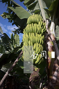 合同糾紛多久會(huì)上訴