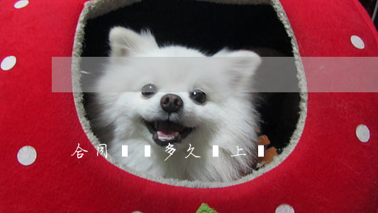 合同糾紛多久會上訴