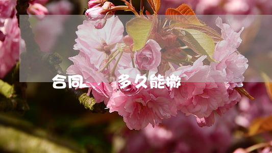 合同糾紛多久能撤訴