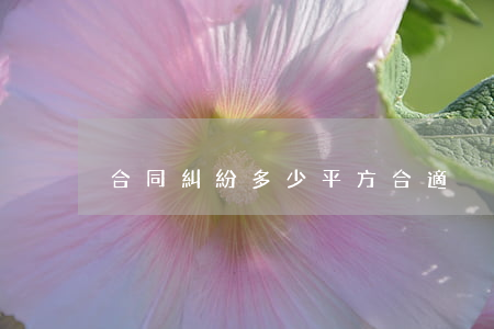 合同糾紛多少平方合適