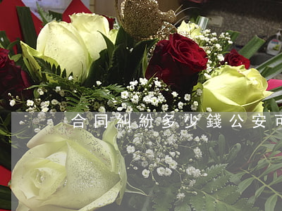 合同糾紛多少錢公安可以立案
