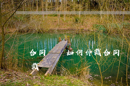 合同糾紛如何仲裁(合同糾紛為啥盡量避免仲裁)