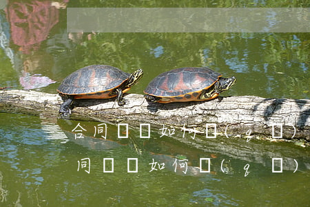 合同糾紛如何區(qū)分責(zé)任(合同糾紛如何區(qū)分責(zé)任)