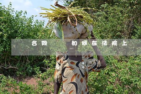 合同糾紛如何在法院上訴(民事糾紛怎么上訴)