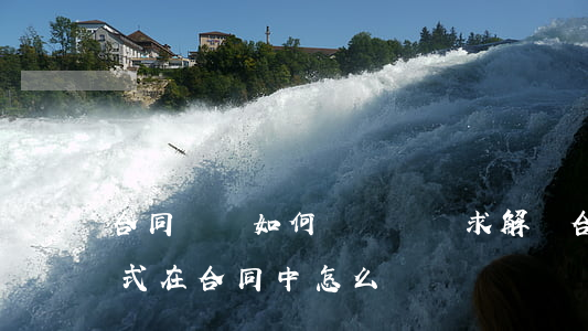 合同糾紛如何寫訴訟請求(解決合同糾紛的方式在合同中怎么寫)