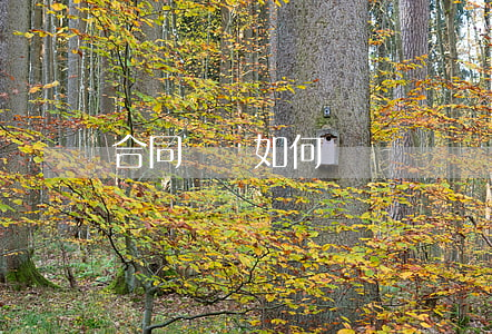 合同糾紛如何應對