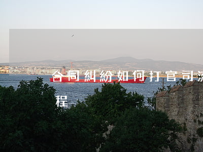 合同糾紛如何打官司流程(違約合同打官司流程)