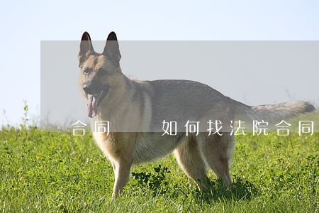 合同糾紛如何找法院(合同糾紛打官司)