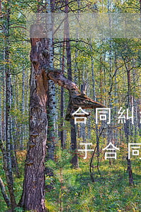 合同糾紛如何書面通知對方(關(guān)于合同糾紛的情況說明)
